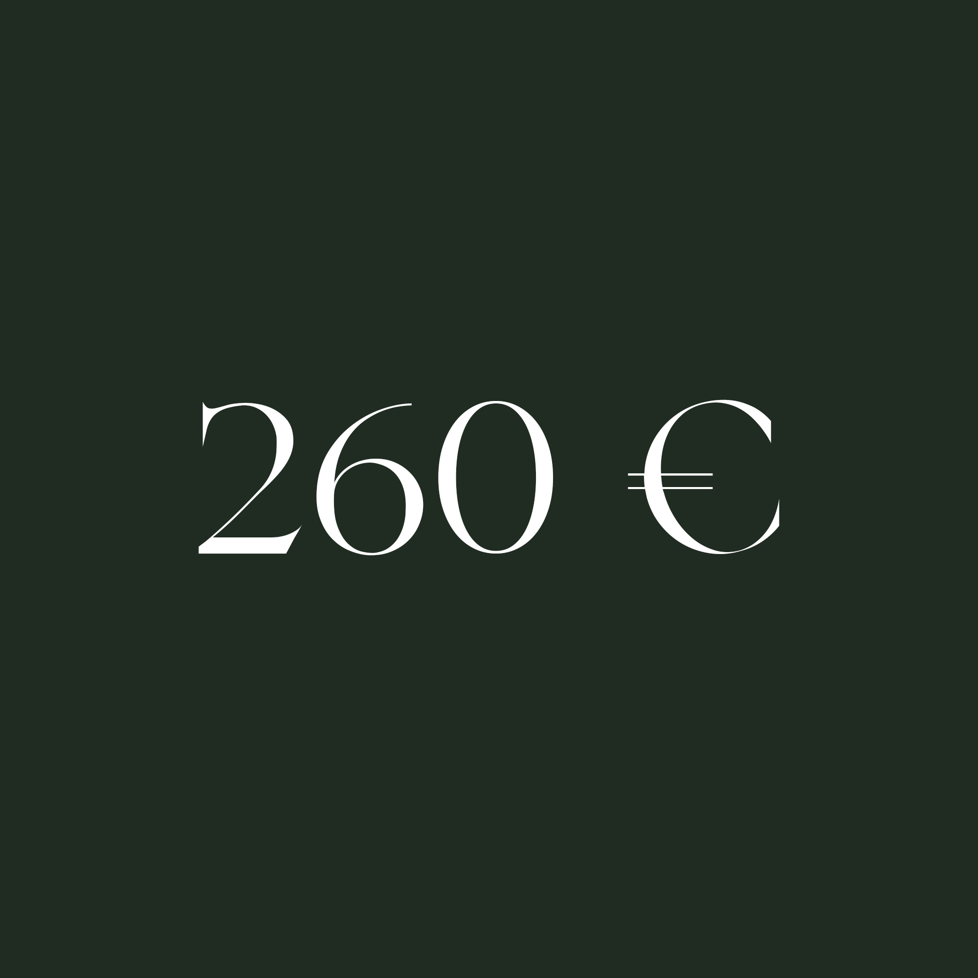 biarritz260euros