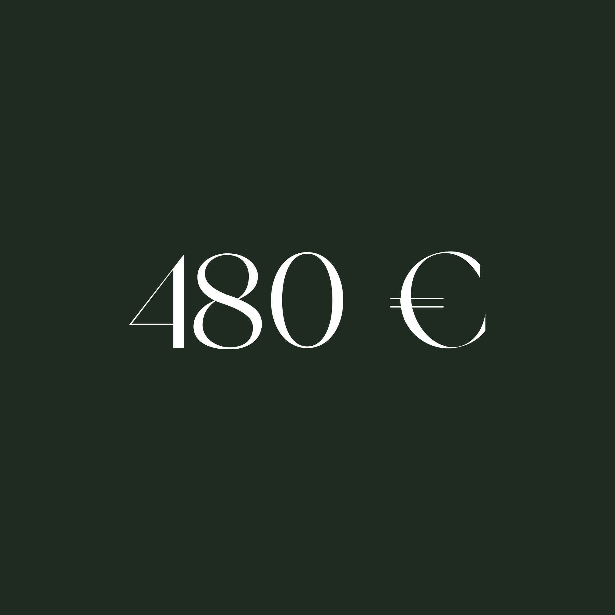 biarritz480euros